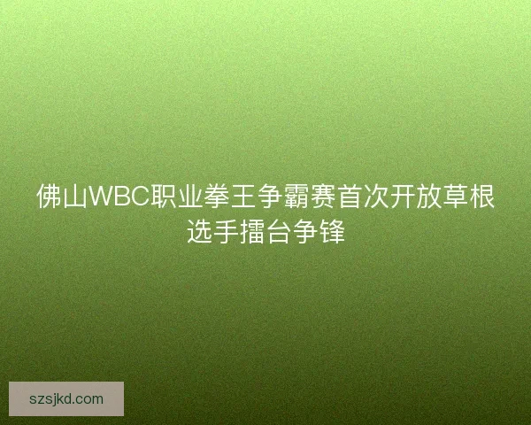 佛山WBC职业拳王争霸赛首次开放草根选手擂台争锋