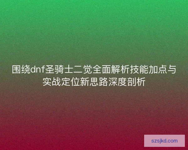 围绕dnf圣骑士二觉全面解析技能加点与实战定位新思路深度剖析